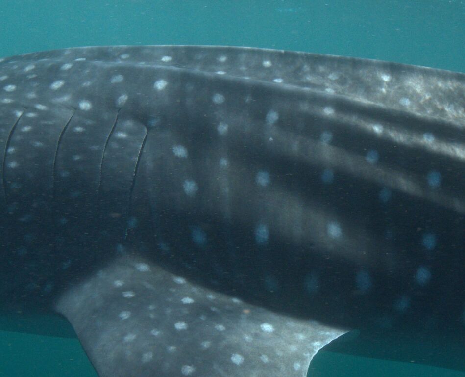 99fae9ad-0979-481e-b505-c9f409e39e3a