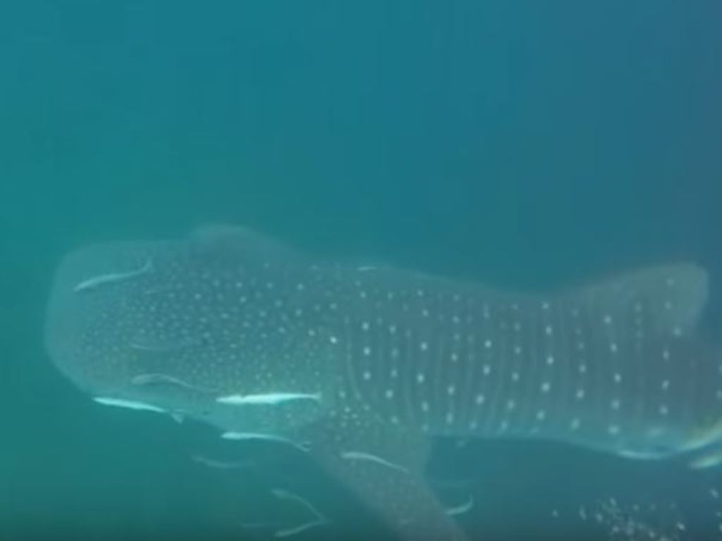 b0110ab2-aa64-4ad5-8a08-a1c5f4953733