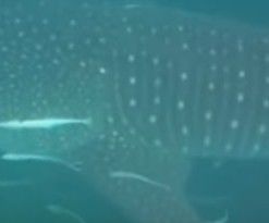 b0110ab2-aa64-4ad5-8a08-a1c5f4953733