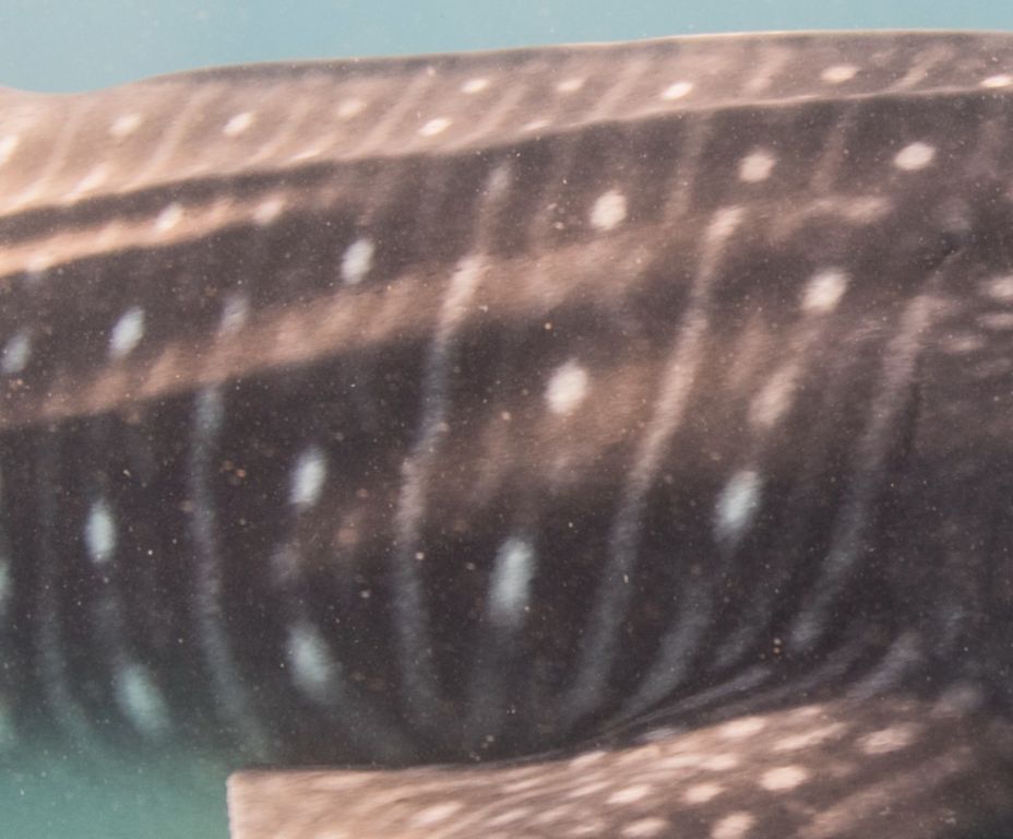 5e799beb-65dc-44e8-8770-8982cb6f9b07