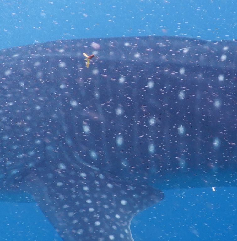 1b18ced9-a1c4-4fa6-aef8-e34f97ecc8ff