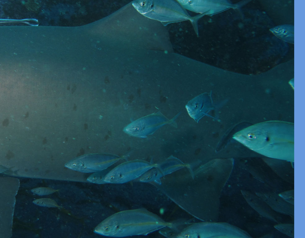 4d52dcb0-a5bd-45c8-9d59-6da731c75f21