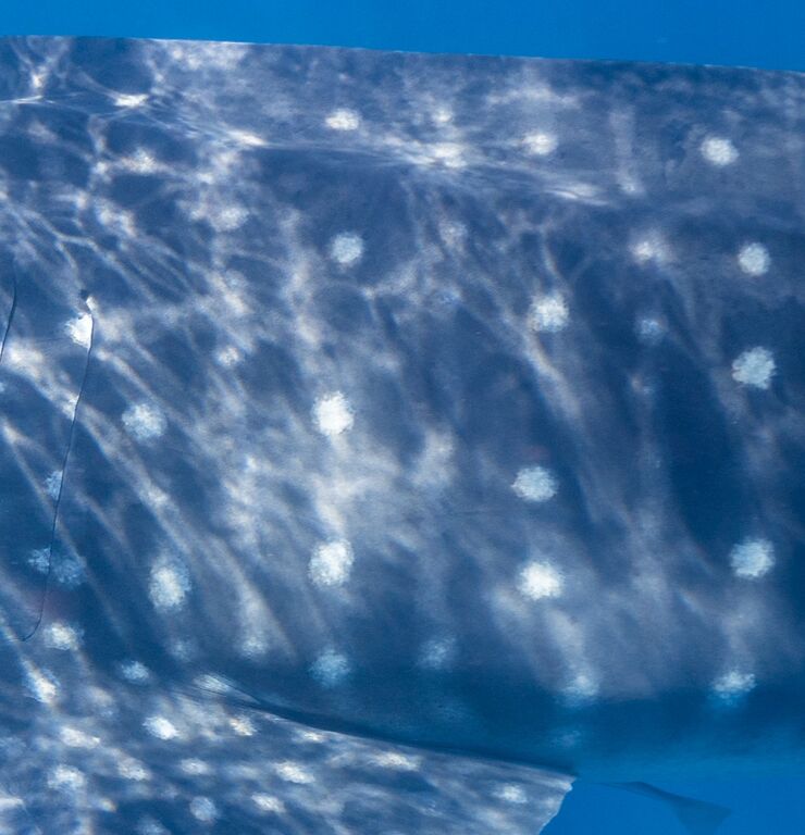 26d68302-a9a6-4683-9a2f-095e9f09af7e