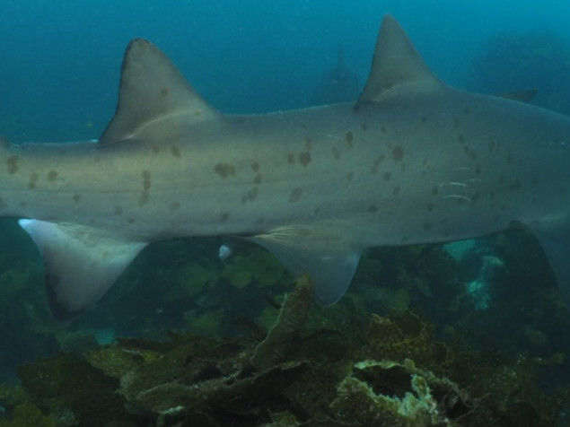 26738ced-c33a-4d64-a4b1-5671064c1aea