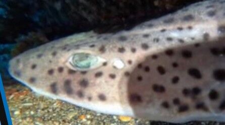 51f70797-b6e4-4b5e-944b-353a105df54e