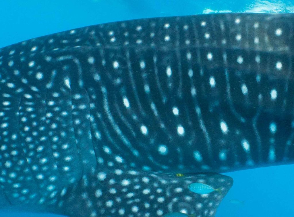 f57d79bb-02fa-4fa9-8873-df8998de9530