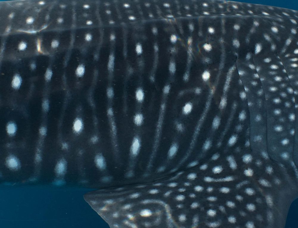 f57d79bb-02fa-4fa9-8873-df8998de9530