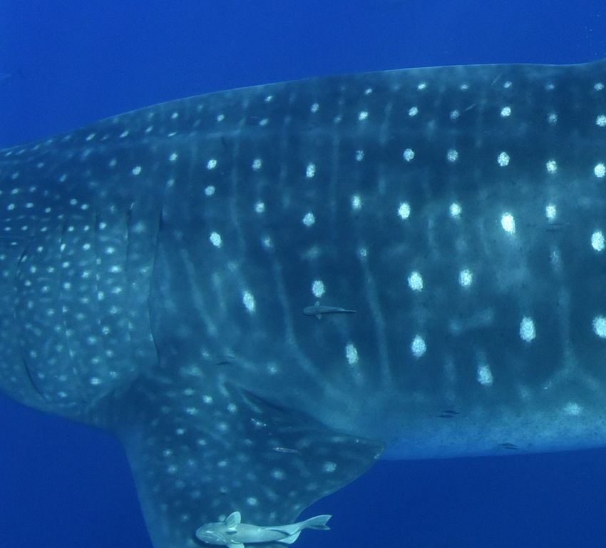 e353bbda-8896-4d4d-93ce-13ff85a590f3