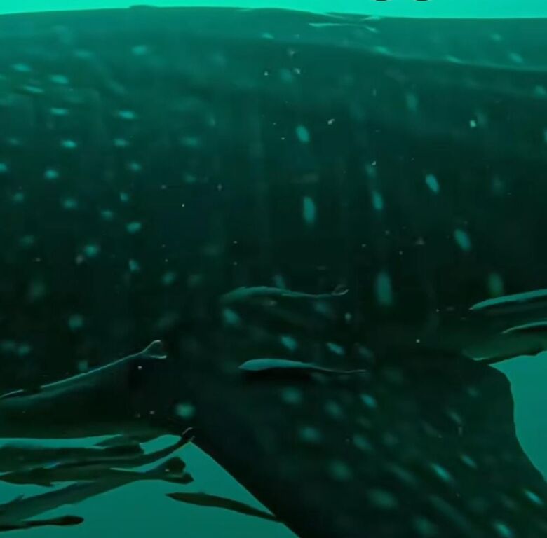 fde27997-a7ea-475e-a473-a4fc2ed27fc1