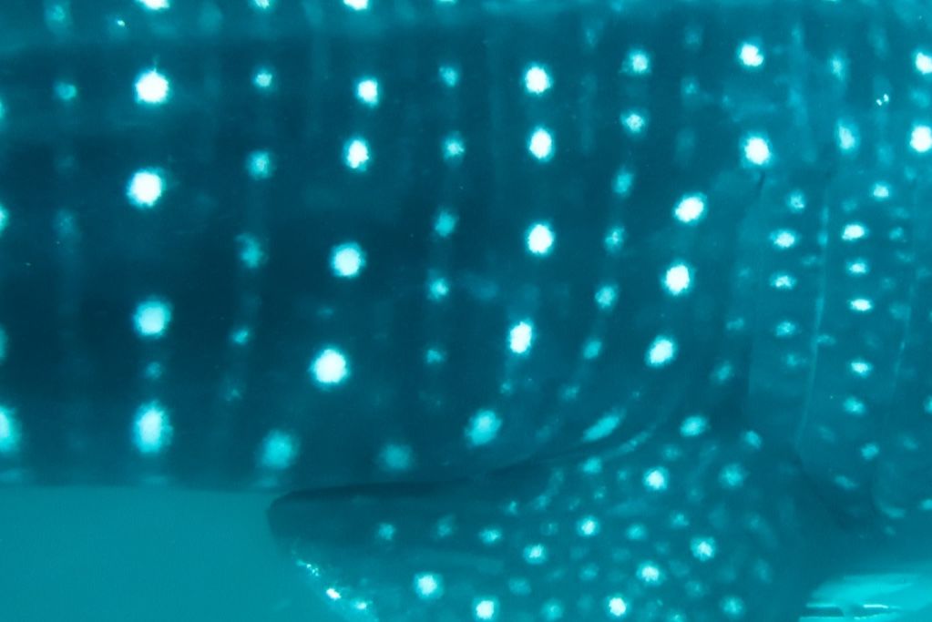 5ac7bd66-2e4a-4c17-b2c0-244d486c877d