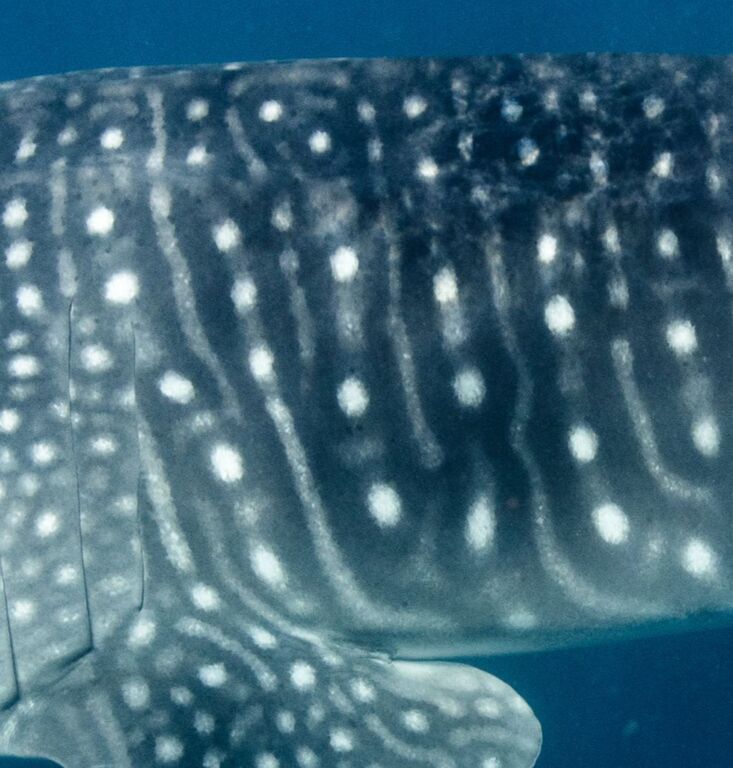 19d630d4-f0c0-40f3-bc0f-fffb5616c914