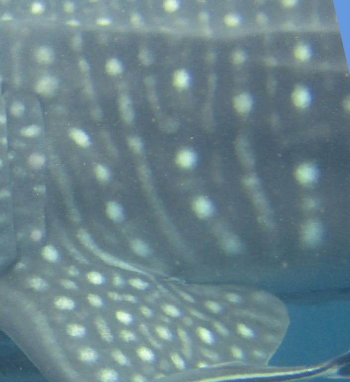 7ef6b2b8-d925-4da6-8371-5c9b0d7c06f2