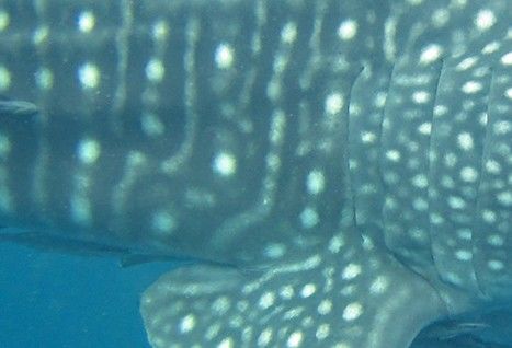 7ef6b2b8-d925-4da6-8371-5c9b0d7c06f2