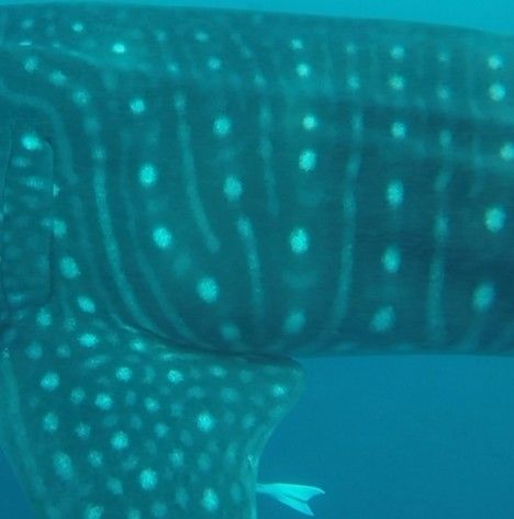 b28792cf-587b-4c95-bca1-dee0cf426282