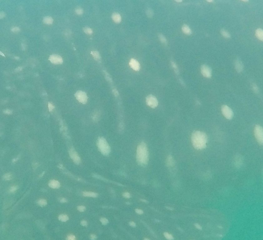 f34c109b-539c-482a-a299-ddd7dae3b6cb