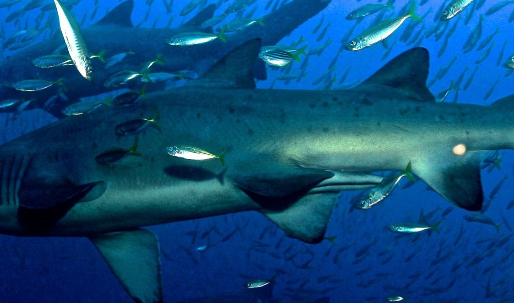 f67c19fb-f70d-4be3-8be6-3f3a7a306e66