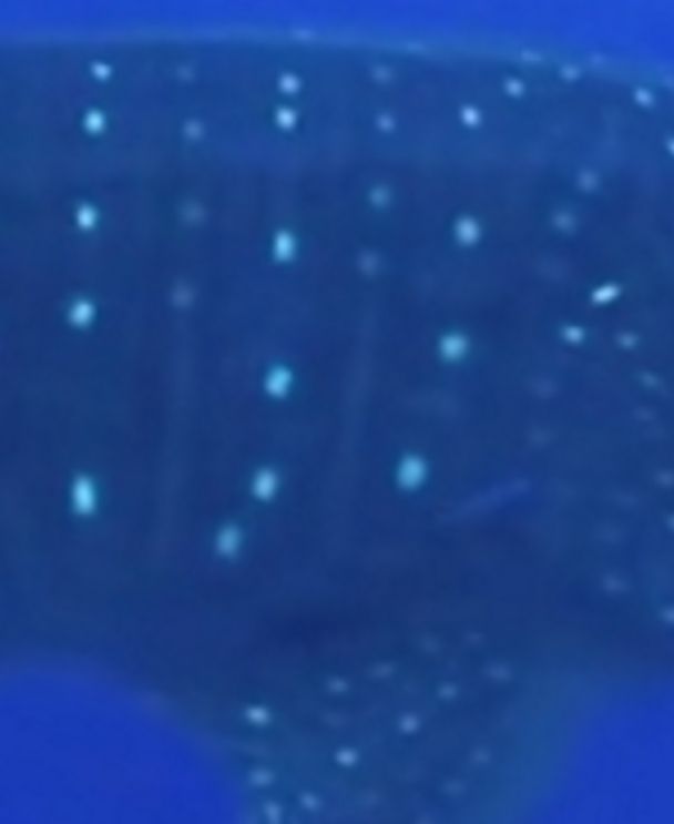 02660053-3d47-4f1a-8e3f-6113ff1a2c88