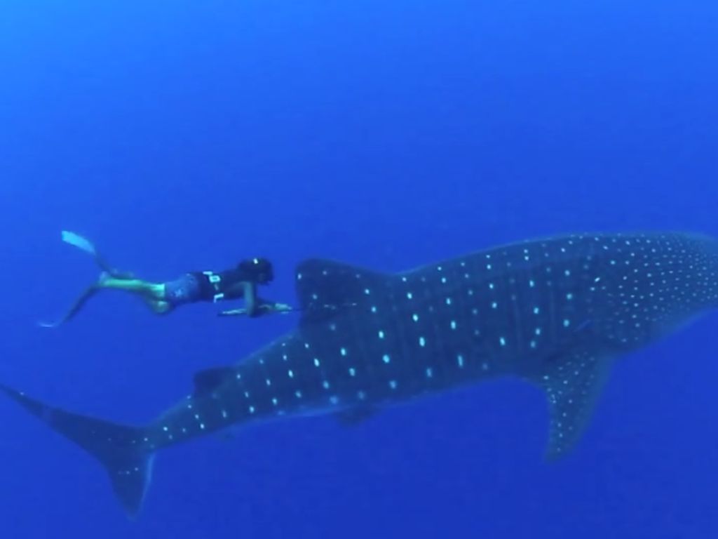 02660053-3d47-4f1a-8e3f-6113ff1a2c88