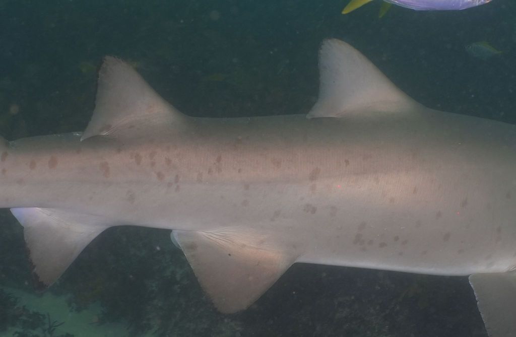 199f02c8-0dfc-480f-b442-89c6711c7554