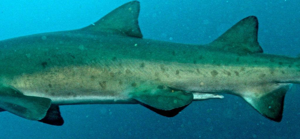 60c48a8e-264d-4839-b0db-2efa3e76a14e