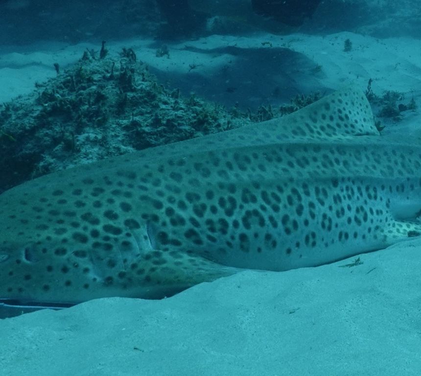 50439826-715d-421f-9b9b-5c25925abba9