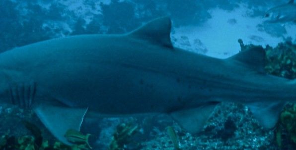 d84d73dc-bbc6-4914-9327-2fccd43ac552