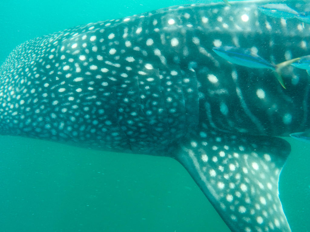 51d3e326-7903-420a-9f8f-6c9fb9716cf4