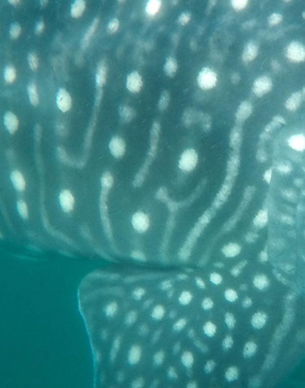 51d3e326-7903-420a-9f8f-6c9fb9716cf4