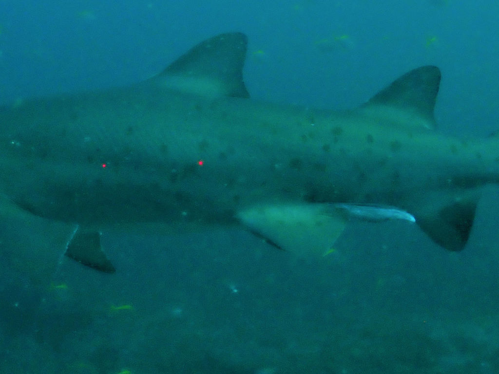 c965561f-d5af-4176-ad21-ee9b3dcc8f50