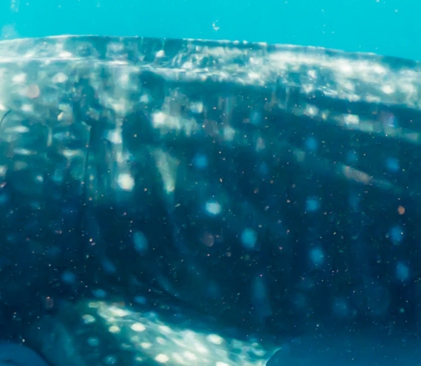 4c8d01e7-0448-4cd5-8bce-133f4ed1108a