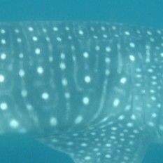 04bd79e7-c45b-4abf-a036-8a90c0d50c5d