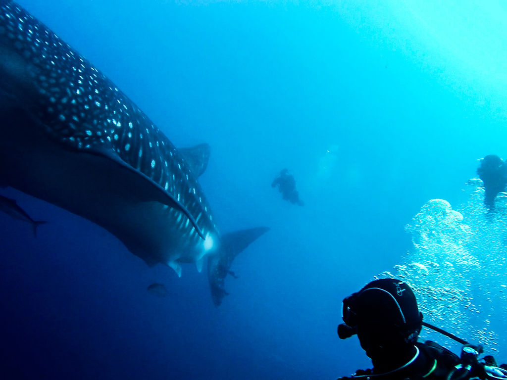 ee06d42f-eded-46fd-8fbb-c3f6a5a8987f