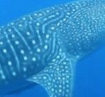 72bae134-7082-4848-80d3-28e3eb2c8880