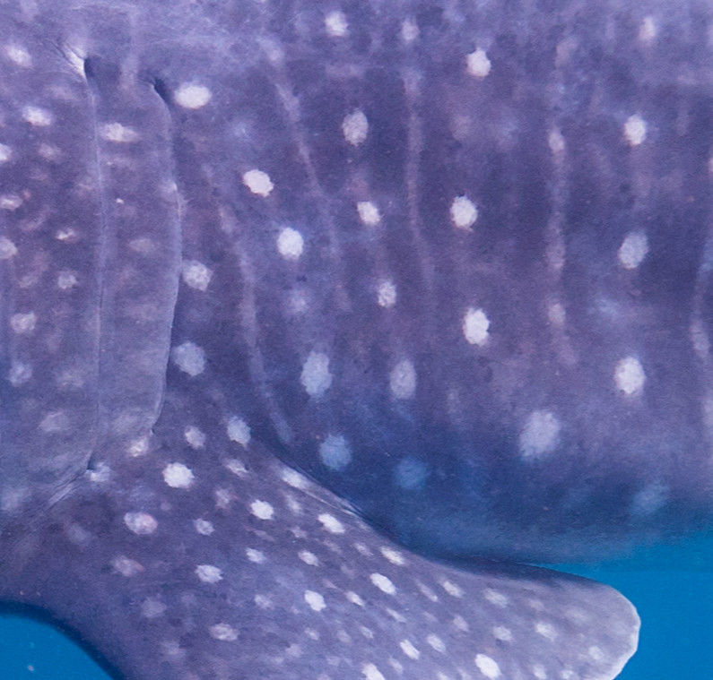 0c131ce6-debe-4ea0-a95b-0b255f37855a