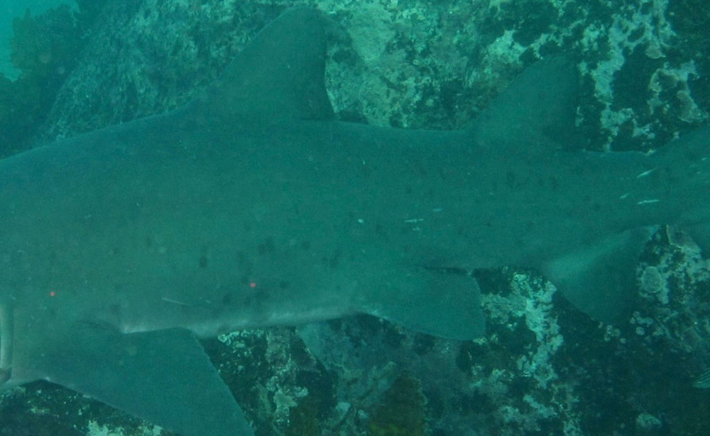 a5b66da6-f097-4a63-9975-9056cd1b1ff8