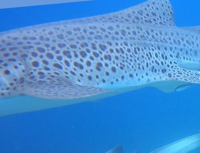 cad3d0cd-d7e4-47a0-afa3-68eee758c514