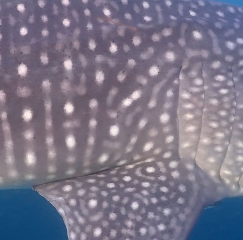 49aa70b6-adb0-4f58-914d-fbd93720541d