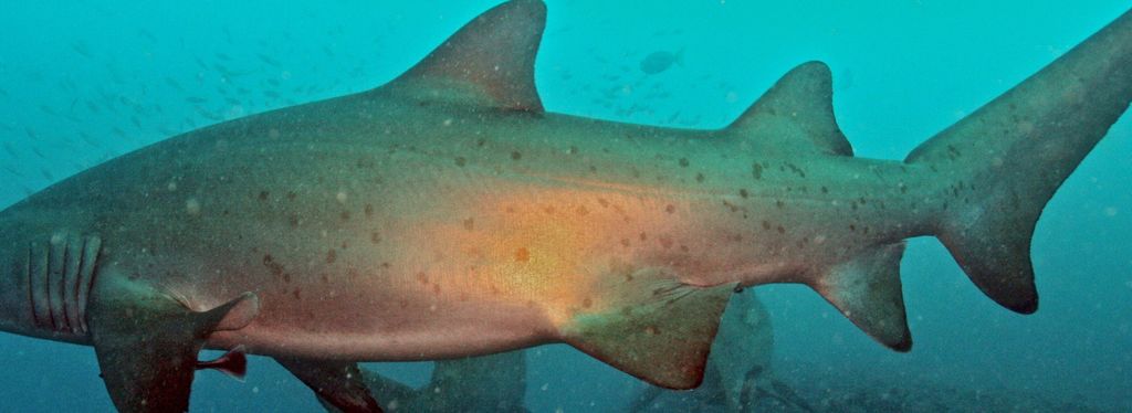 e3166697-ccba-4876-8e7f-f0da9da21691