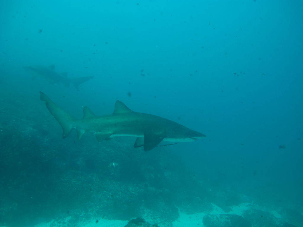 3ae95529-4dae-4220-84aa-8affeb564c5c