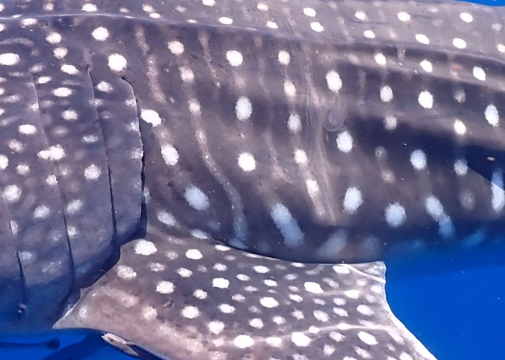 b8518758-fa54-496a-8d55-c91e0c6297f6