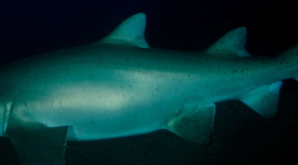 433006b8-c95f-4c07-8a4a-6a8f76136a99