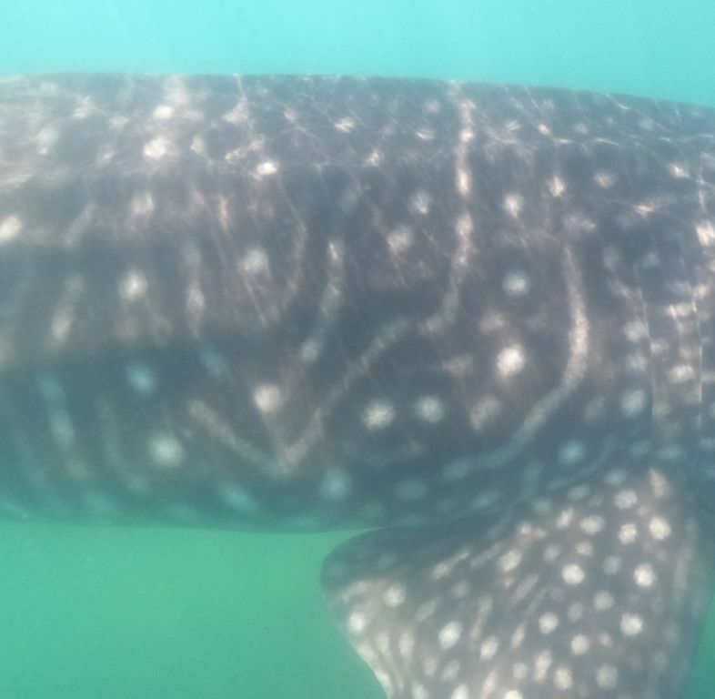 af1d440f-0fe3-4a3d-aca3-9e3f505ca383