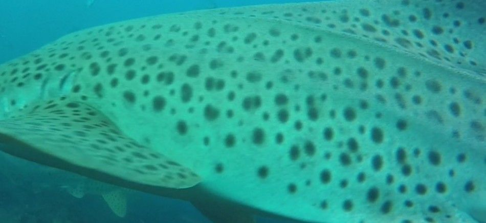 5b588ca3-a153-46fa-a98d-88bba62635ea