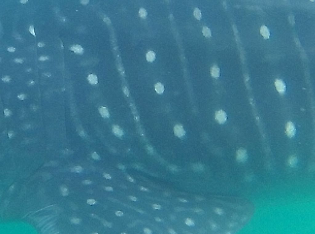 2bbe0748-d75e-47f4-b968-c7a37d7f2278