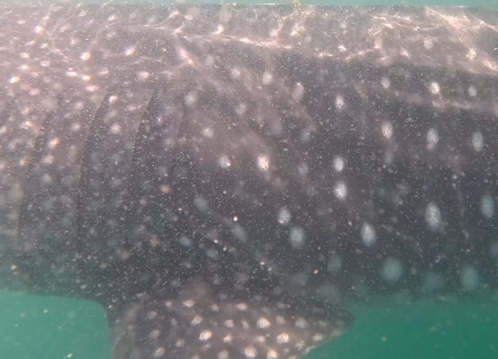 cbed03fc-41e4-4410-a799-048c76c7fa08