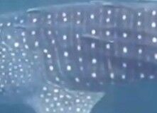 990a68f3-8b19-4979-8699-2778061a122a