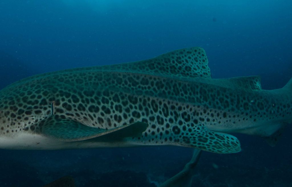 3ece43f8-70df-4fbc-a889-56bbe78cbbf7