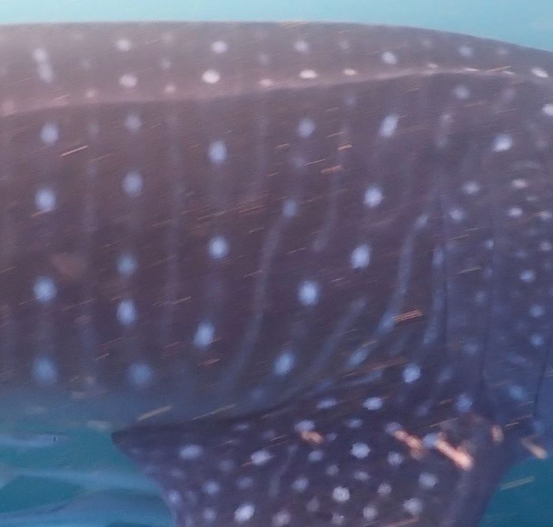 c1663500-b60d-4d12-92e1-af194c54f399