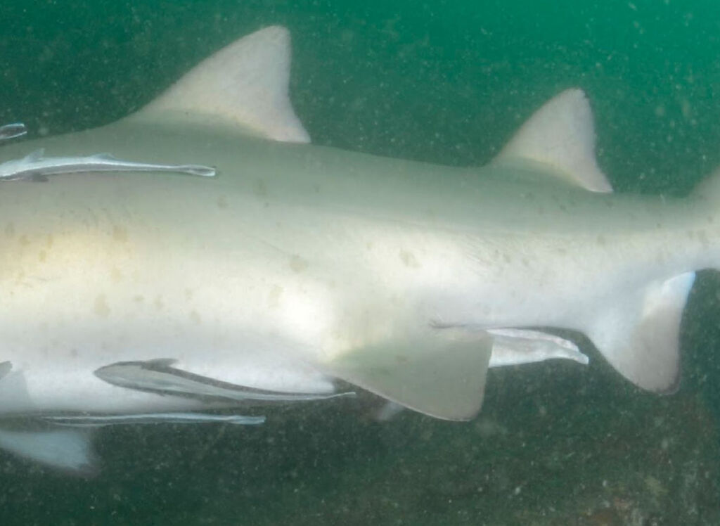 de54a36b-d70a-4050-b8b3-18705261a2b4