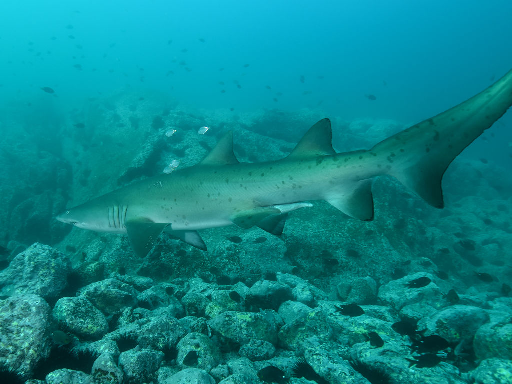 0c546326-7659-48e6-b8fa-5e0d3eb7b452